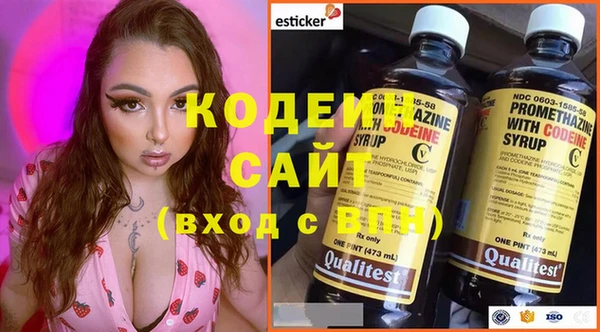 стафф Осинники