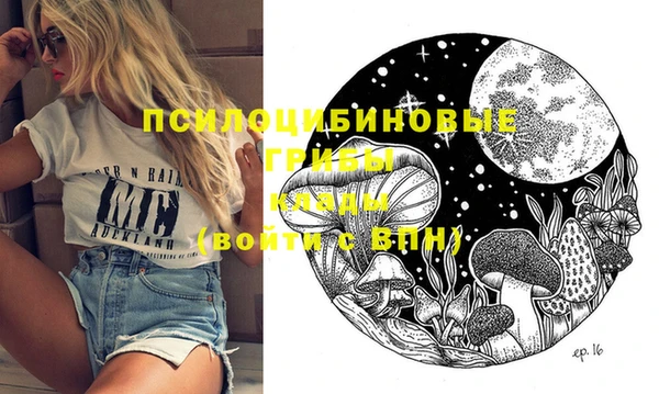 круглые Алзамай
